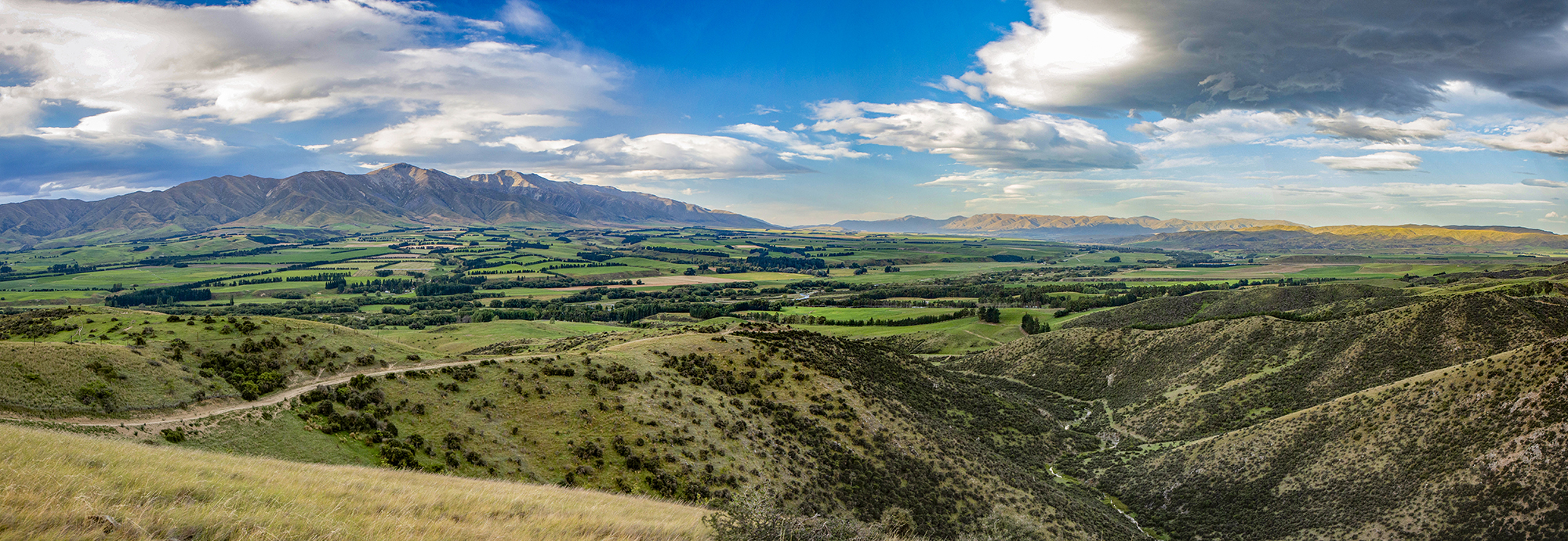 Foveran-overview-image